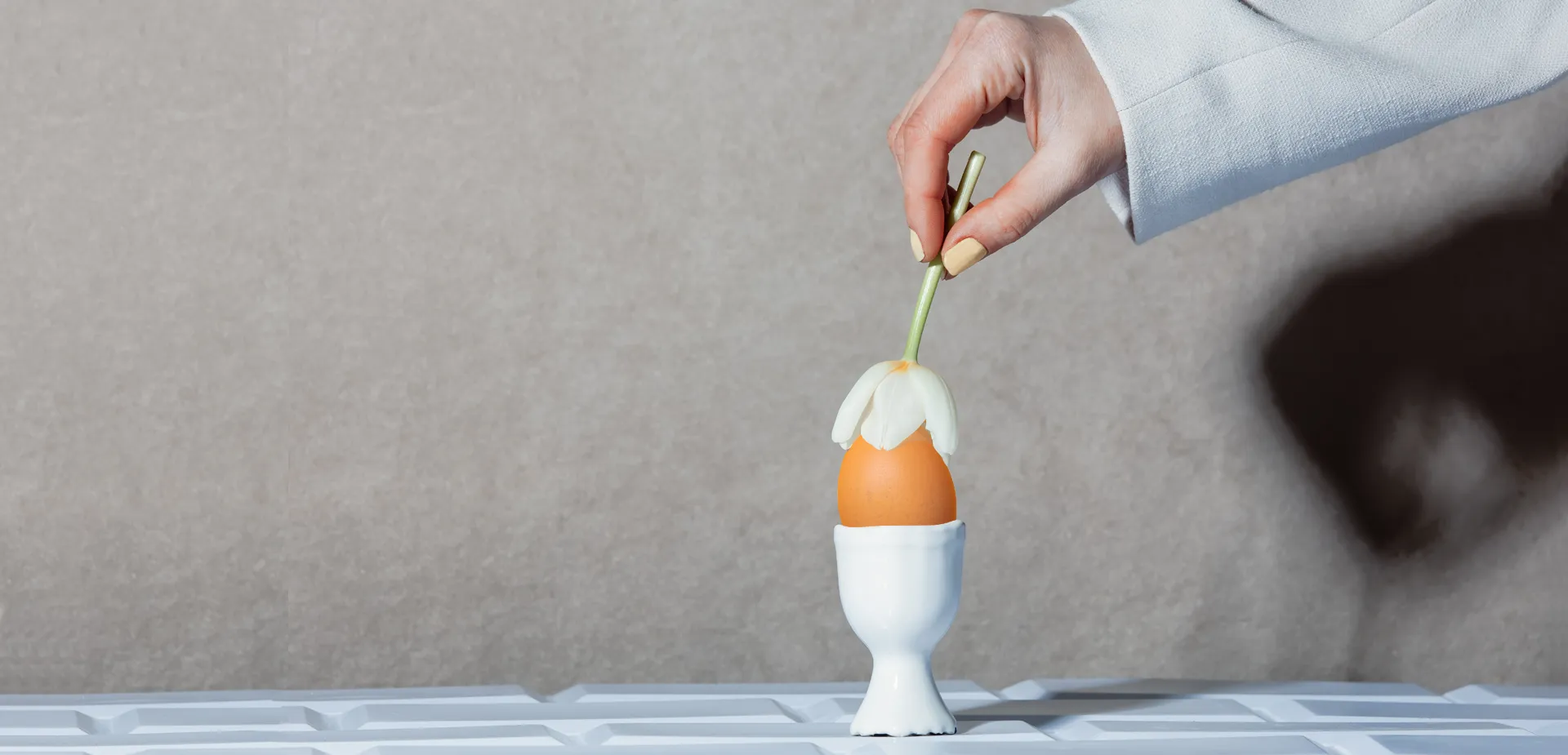 Bravera - Huevo orgánico de rancho