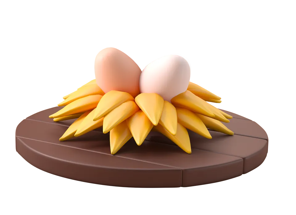 Bravera - Oferta de entrega gratis